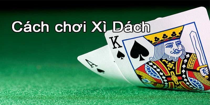 Tổng Quan Về Xì Dách